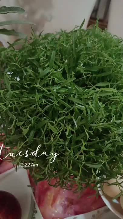 سال نو مبارک