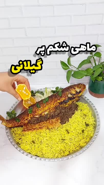 ماهی شکم پر