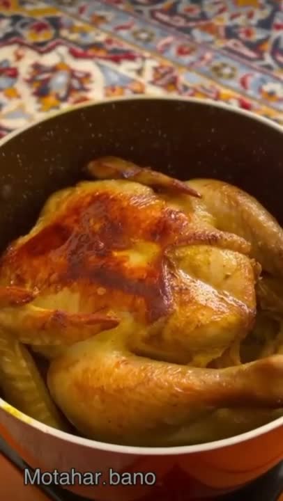 مرغ شکم پر مجلسی