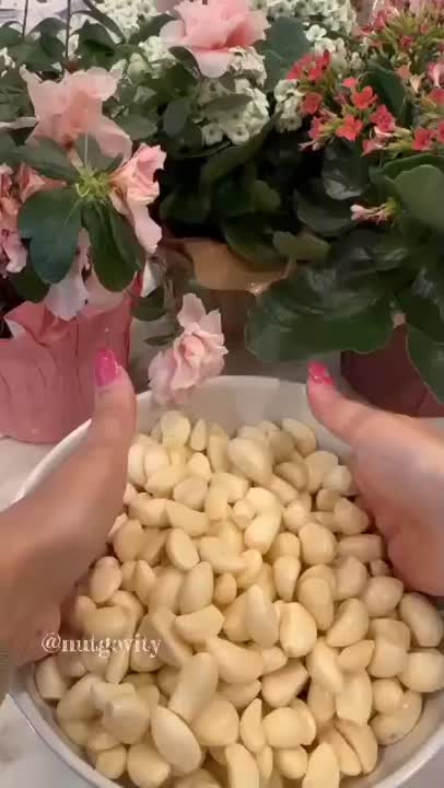 بهترین روش نگهداری سیر