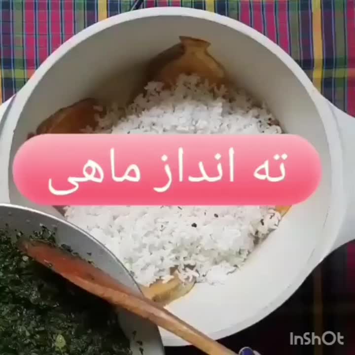 ته انداز ماهی