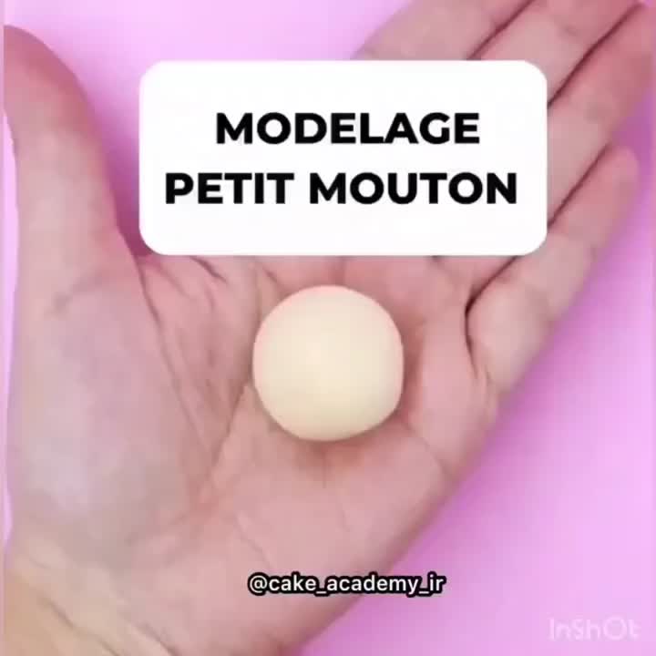 تاپر گوسفند