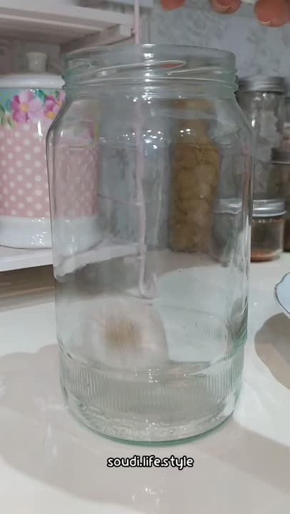 سیر ترشی عالی