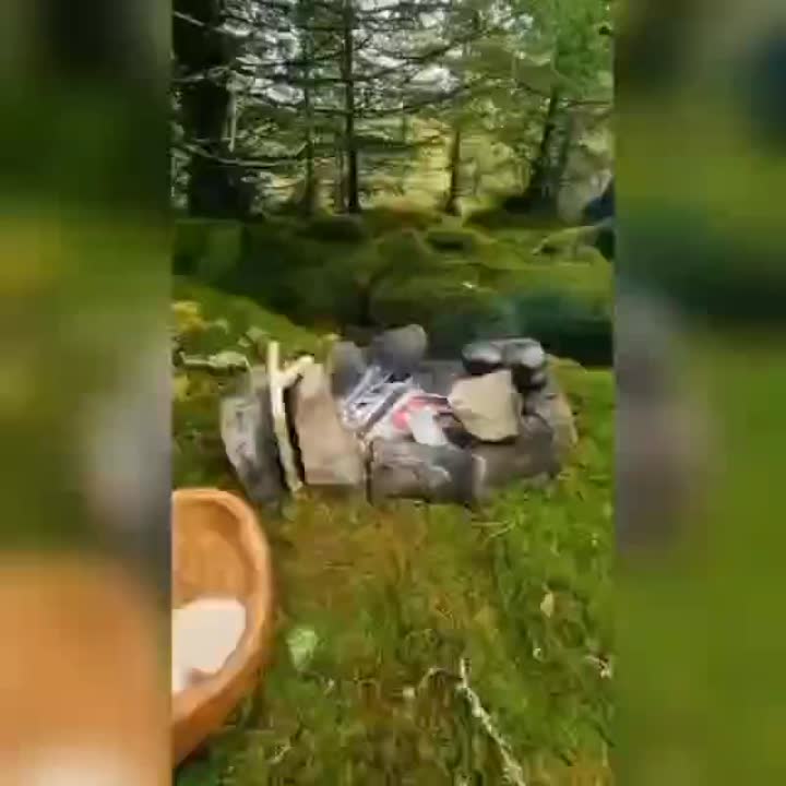 آشپزی در طبیعت