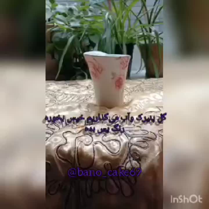 شربت گل پنیرک