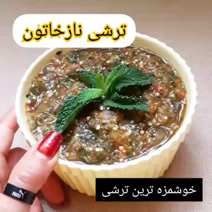 ترشی ناز خاتون.