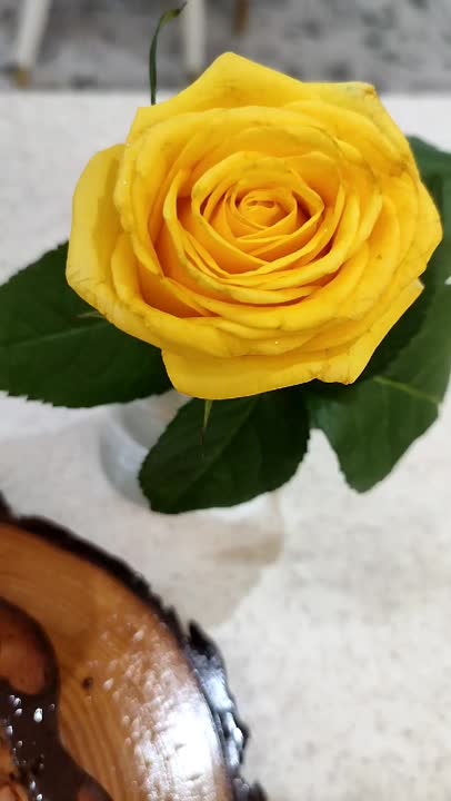 کیک سیب ودارچین ??