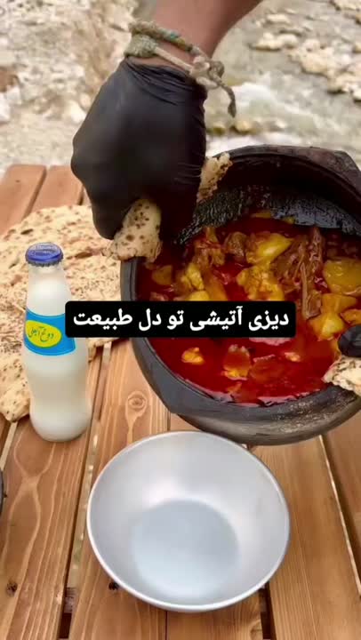 آشپزی در طبیعت 