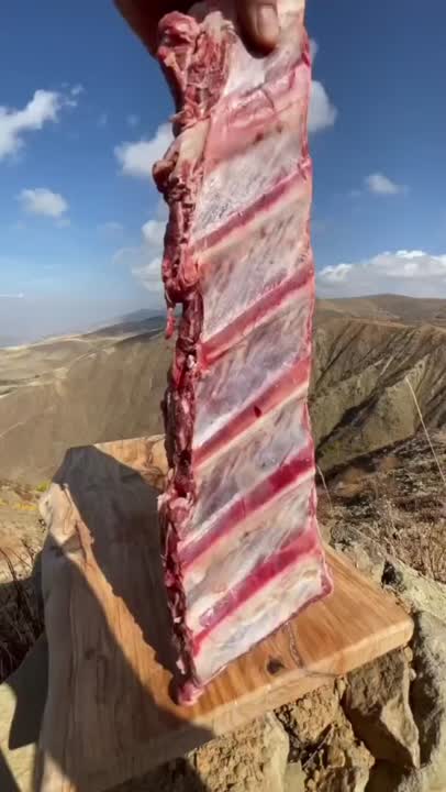 آشپزی در طبیعت