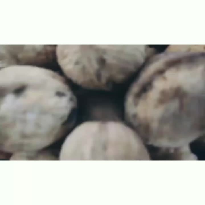 سفره یلدایی