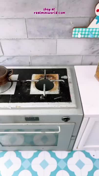 آشپزی مینی?