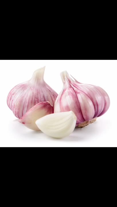 نگهداری سیر به مدت طولانی