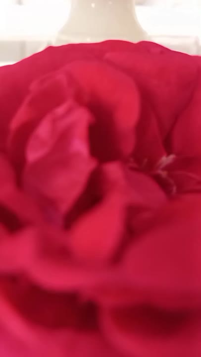 میلاد آقا امام حسین (ع)