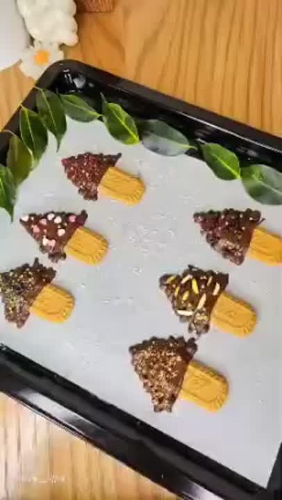 بسکویت شکلاتی