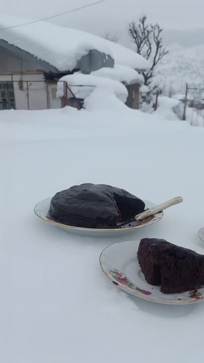 کیک خیس شکلاتی