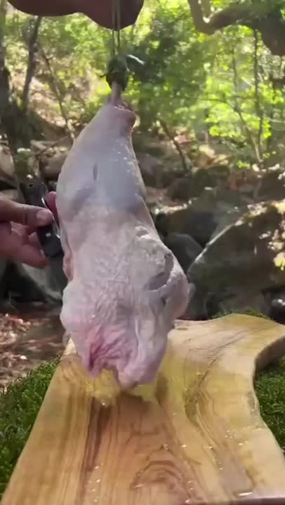 اشپزی در طبیعت:>>>>