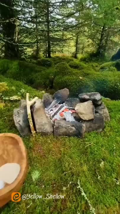آشپزی در طبیعت