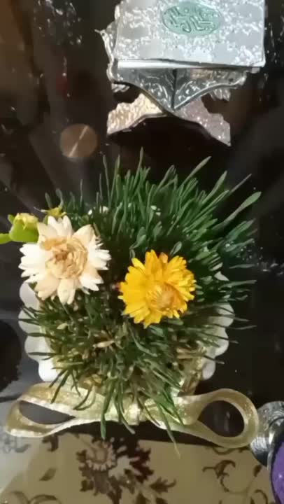 سفرهفت سین ۱۴۰۳