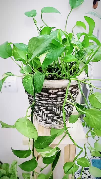 سال ۱۴۰۳ مبارک