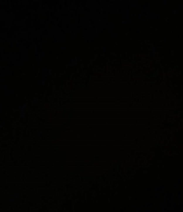 هفت سین ۱۴۰۳