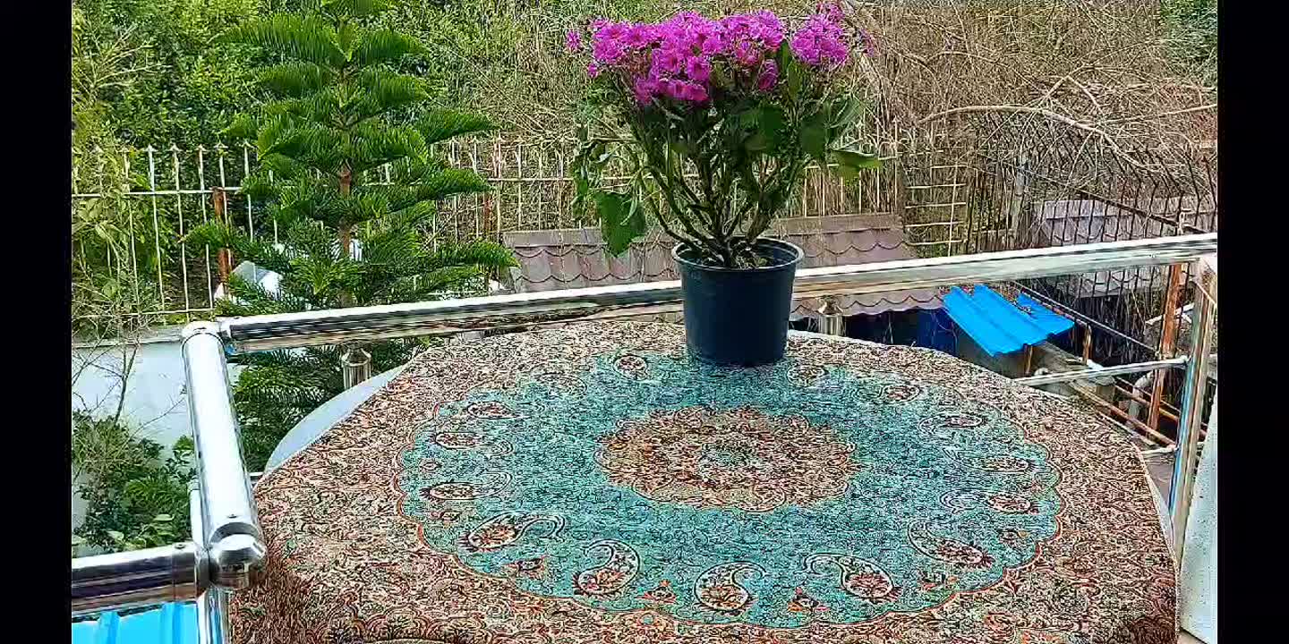 سفره هفت سین۱۴۰۳