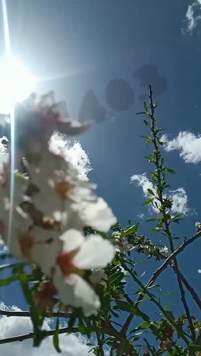 هفت سین۱۴۰۳