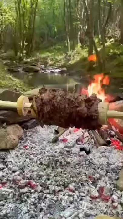 آشپزی در طبیعت