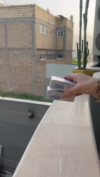 تارت شکلاتی