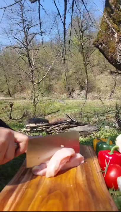 آشپزی در طبیعت