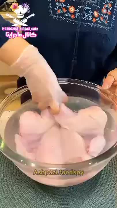 مرغ پروانه ای مجلسی