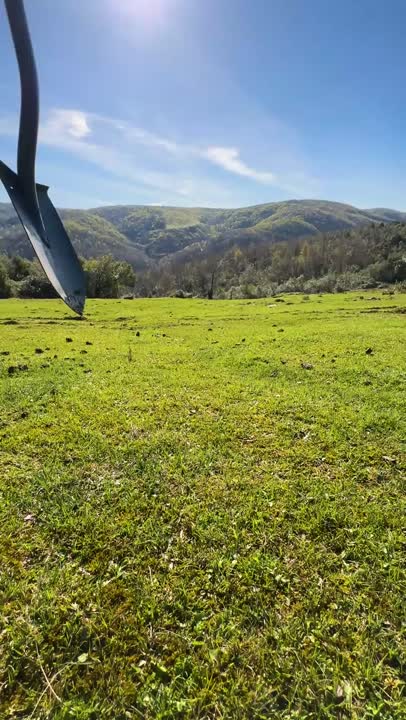 آشپزی در طبیعت