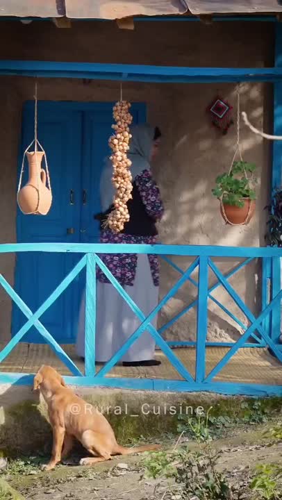 #میجان
شامی بابلی