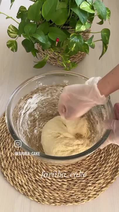 پیراشکی کرم دار 2