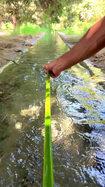 برنج و گوشت ❤