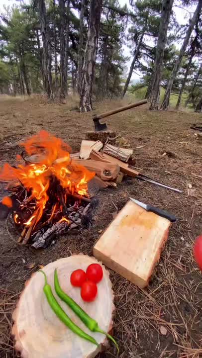 آشپزی در طبيعت 