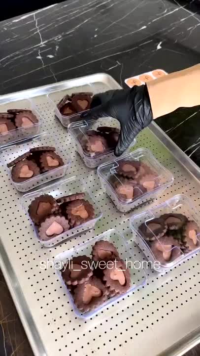 بیسکویت شکلاتی