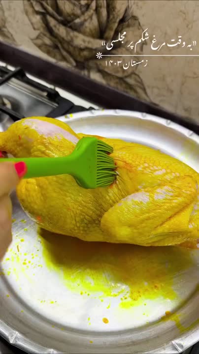 مُرغ شکم پر مجلسی