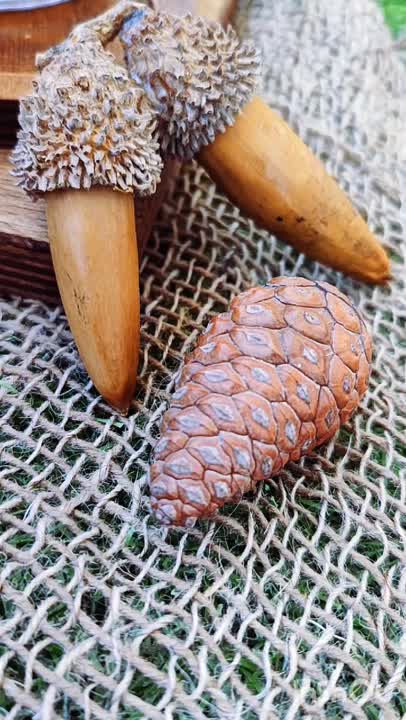 کوکی شکلاتی 