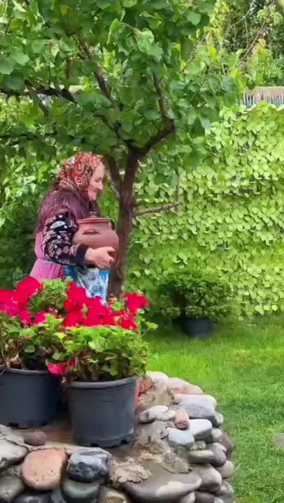 به وقت پخت پیراشکی