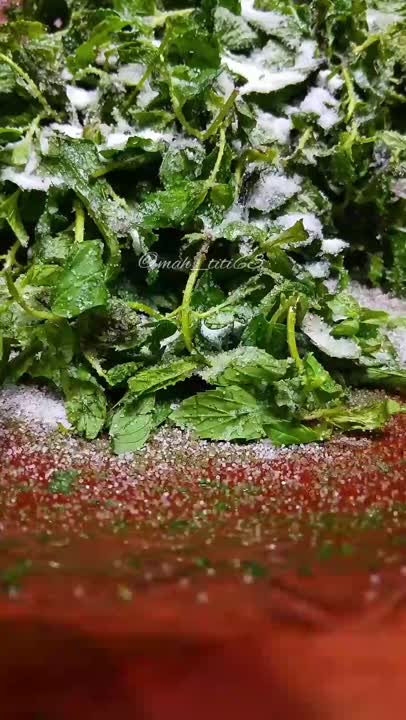 دلار یاهمون نمک سبز ییلاقی