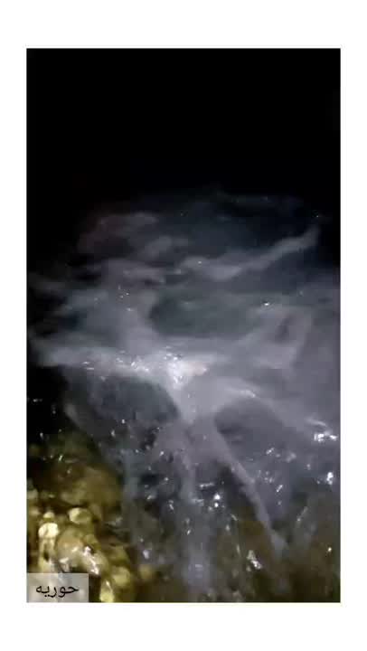 شام ساده ی ما❤️