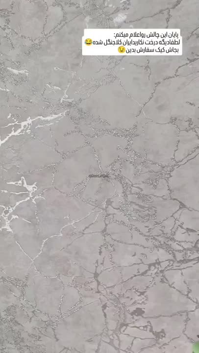 پایان چالش جنگل?