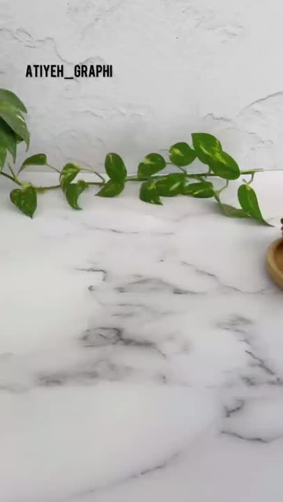 ساندویچ مرغ