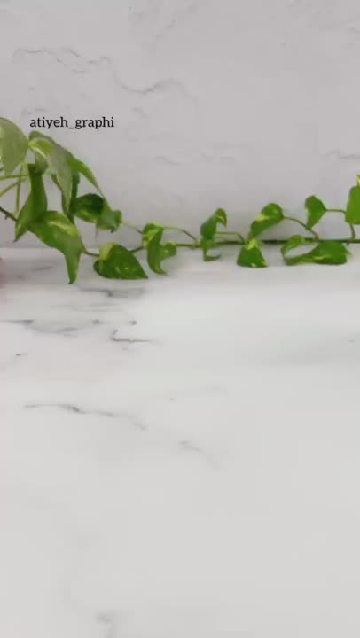 پودینگ کاکائویی رژیمی