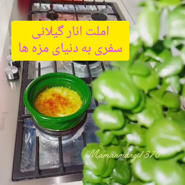 املت انارگیلانی