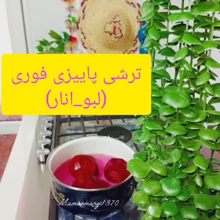 ترشی پاییزی