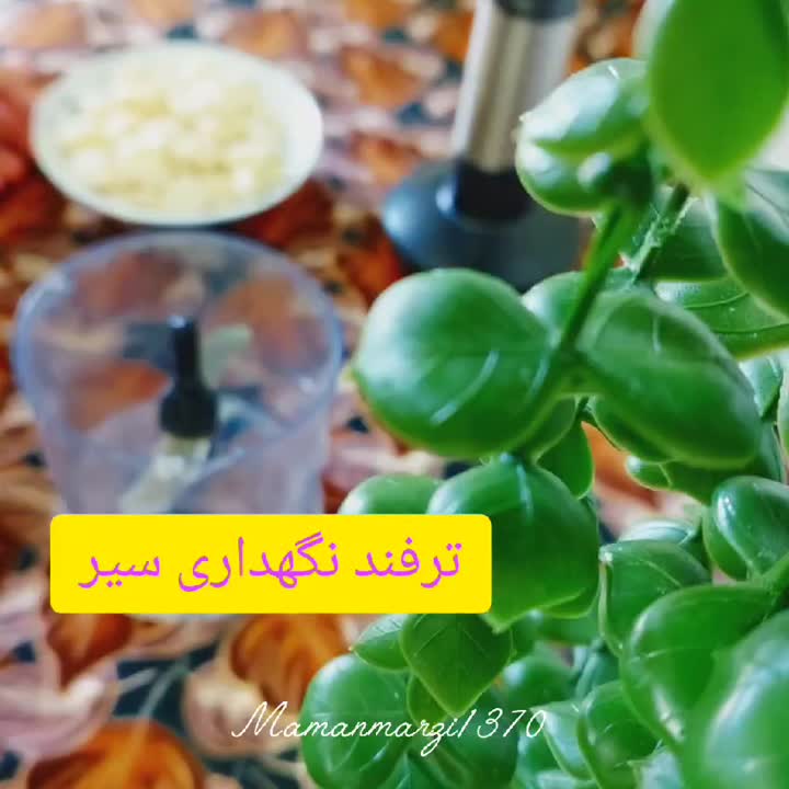 ترفندنگهداری سیر