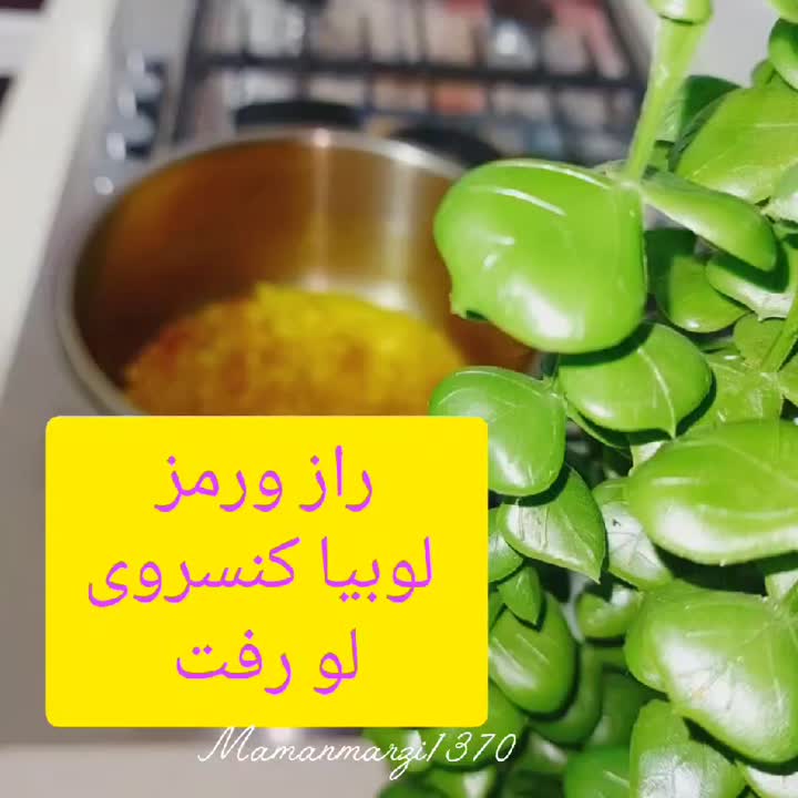 لوبیاکنسروی