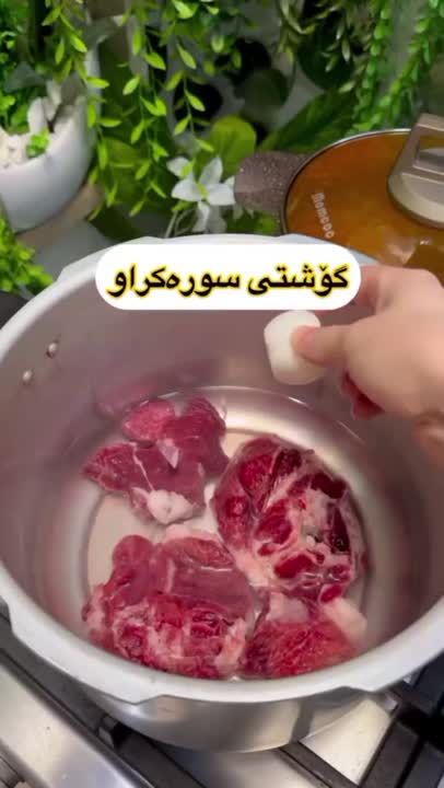 گوشت سرخ شده یه جورایی قاورمه 