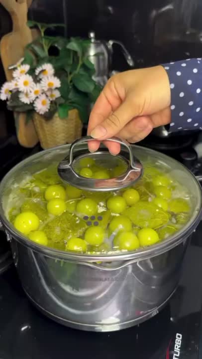 دلمه برگ مو عراقی 